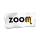 zoom_torino