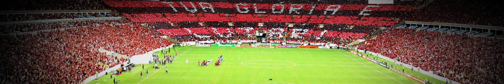 Giphy banner for @flamengo