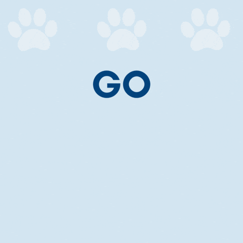 Wearewp GIF by Wesley Prep