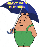 Bear Rain GIF