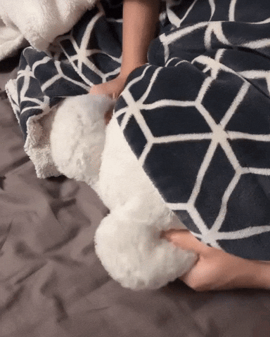 Dog Puppy GIF