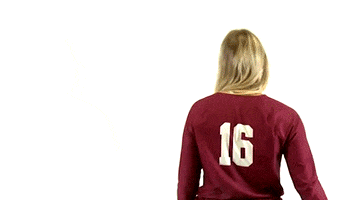 Volleyball Roll Pards GIF by Lafayette Leopards