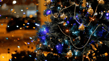Christmas GIF