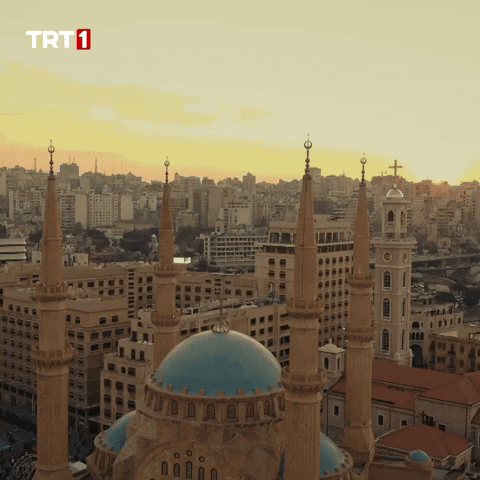 Travel Drone GIF by TRT