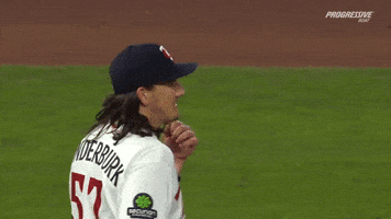 Minnesota Twins Win GIF by MLB