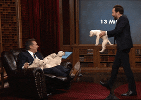 Puppy Puppies GIF by The Tonight Show Starring Jimmy Fallon