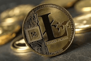 Crypto Ltc GIF by Litecoin
