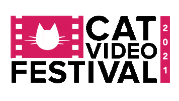 St Paul Cat Sticker by myTalk1071