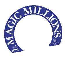 Horse Racing Sticker by Magic Millions