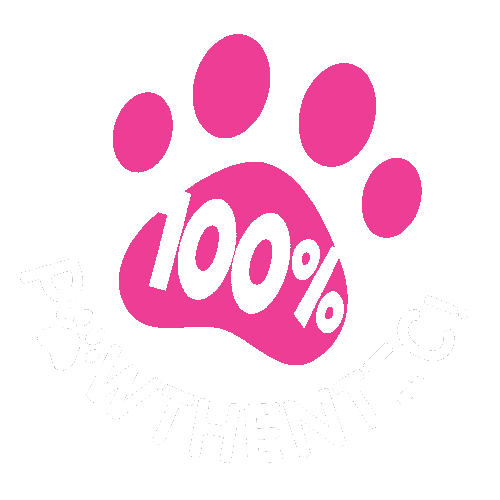 Cat Dog Sticker by Dogs and The City PH