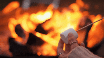 Camping Camp Fire GIF by Jugendleiter-Blog