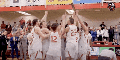 Minnesota Win GIF by Bethany Lutheran College