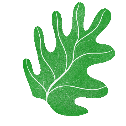 Flores Plantas Sticker