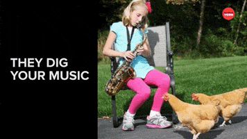 Best Friends Funny Animals GIF by BuzzFeed