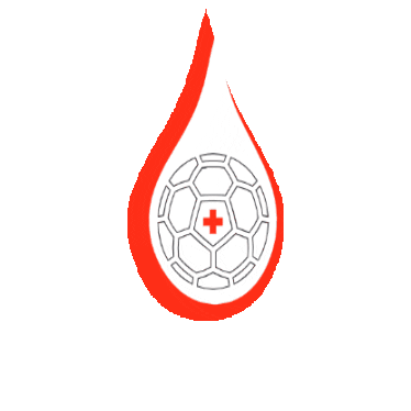 Bhv Sticker by Bayerischer Handball-Verband