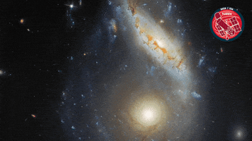 Nasa Universe GIF by ESA/Hubble Space Telescope