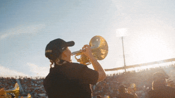 Marching Band Football GIF by UCF Marching Knights