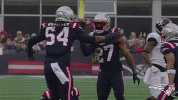 Proud Football GIF by New England Patriots