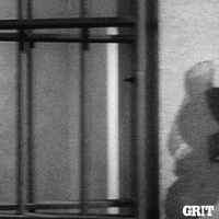 Behind Bars Prison GIF by GritTV