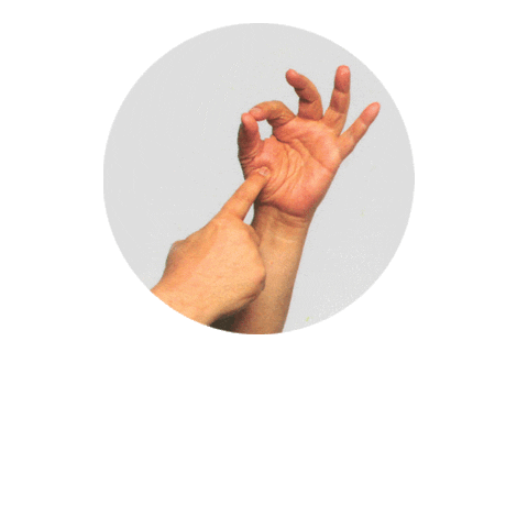 Templo da Carne Marcos Bassi Sticker