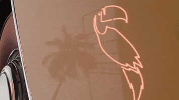 Cadillac Toucan GIF by SelvaRey Rum