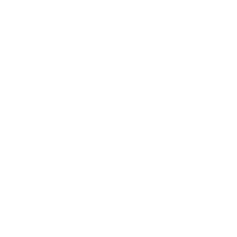 Bergen internasjonale filmfestival Sticker