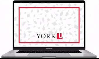 Yu Class Of 2023 GIF by York University