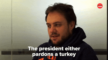 Thanksgiving GIF by BuzzFeed