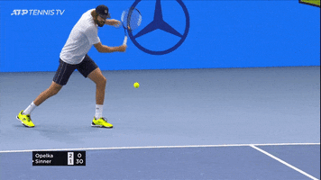 Collect Reilly Opelka GIF by Tennis TV