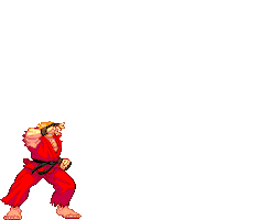 Street Fighter Sticker