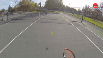 Tennis Court GIF by BuzzFeed