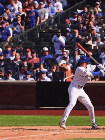 Mets GIF