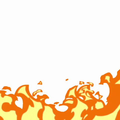 Zeedog GIF by Amora Pug Brasil