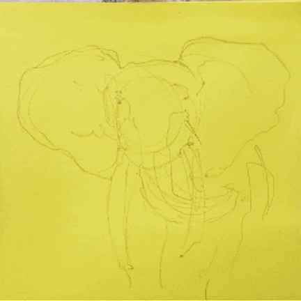HaritonB art drawing elephant ballpoint GIF