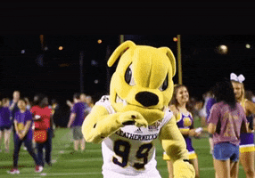 Lets Go Dancing GIF by Western Illinois University