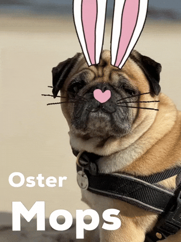 Easter Pug GIF