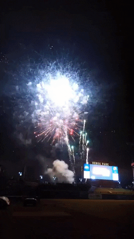 GIF by Columbia Fireflies