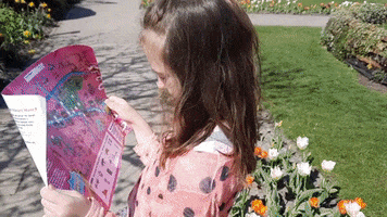 Summer GIF