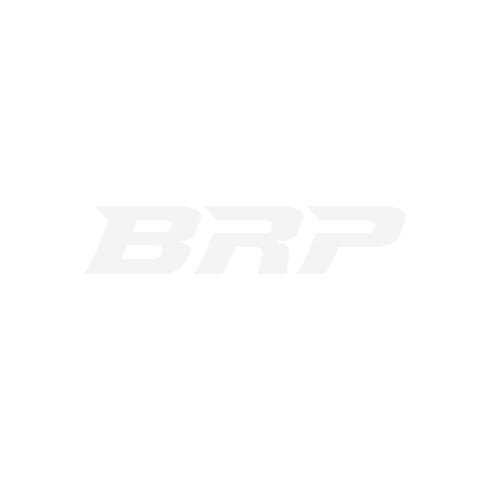 Repro Remap Sticker by BR performance