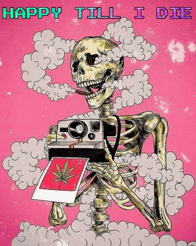 Stoners Hemp Hippievibes Free Happy Noworries GIF