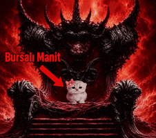 Bursa Kedy GIF