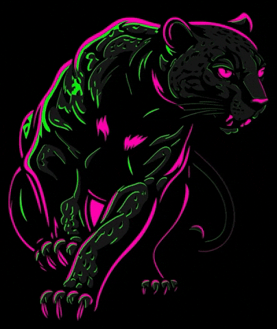 9Ano GIF by Sapequinha Sei