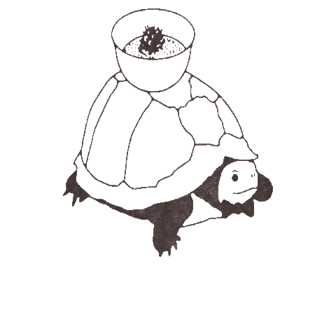 Rule of Thirds Sticker