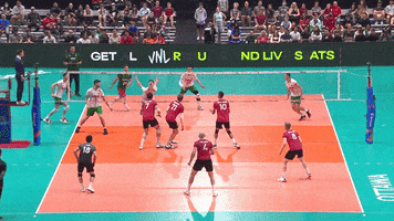 Take That Reaction GIF by Volleyball World