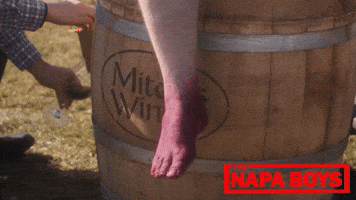 Comedy Yes GIF by Magnolia Pictures