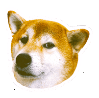 Dog Sticker