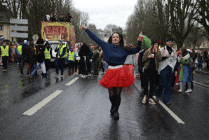 Carnaval GIF