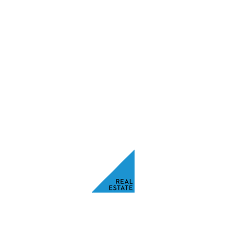Alpizarre Sticker by Alpizar Real Estate