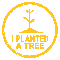 One Tree Planted Sticker