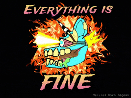 Everything Is Fine Yolo GIF